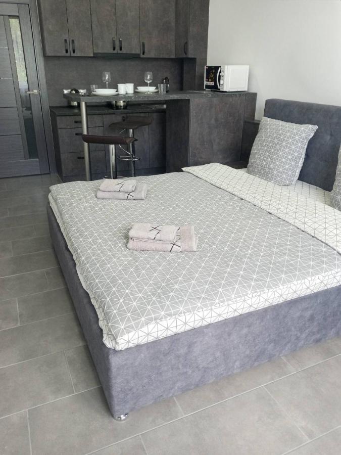Luxury Central Apartment Ужгород Екстериор снимка